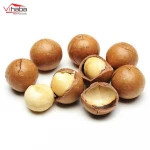 Macadamia Nuts Raw Salted Roasted Maca Powder Healthy Food Macadamia in Shell