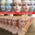 Import mannequin head with shoulders wholesale wig stand mannequin head dispaly mannequin heads whole sale from China