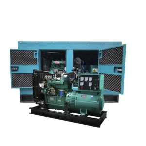 Manufacture Supplied Portable Economic Standby Diesel Generator Emergency Silent Power Plant Wholesale Price