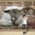 Import Modern interior wall animal head wall art home decoration pieces wall from China