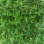 Import Natural Artificial Turf Lawn Green Artificial Grass For Garden Decoration Grass Lawn Landscape from China