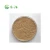 Import New arrival Angelica Health Herb Powder Organic Plant Extract For Enhance The Immune System from China