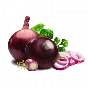 New Crop Onion Wholesale Price, White Onion, 10KG Big Onion