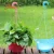 Import new design cheap self watering colorful style plastic hanging basket flower pot with china supplier from China