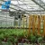 Import New design garden greenhouse DIY at your option from China