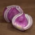 Import New Listing High Quality in Bulk Fresh Dark Red Onion with International Certification from China