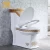 Import New products ceramics one piece siphon bathroom closet seats gold toilet bowl from China