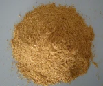 Non GMO Poultry Feed Corn Gluten Meal..