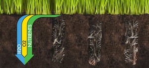 Organic Plant fertilizer 16 Micro Macro nutrient fortified with Soil Bacteria with plant nutrients extracted from plants