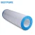 Import PAP150 C-9415 FC-0687 swimming pool filter for household swimming pool filter from China