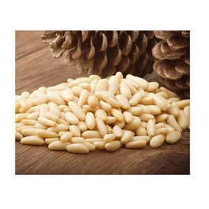 Pine nuts High quality cheap Rate Bulk Quantity available Wholesale supplier