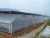 Import Plastic Film Greenhouse Multi-Span Film Greenhouse from China