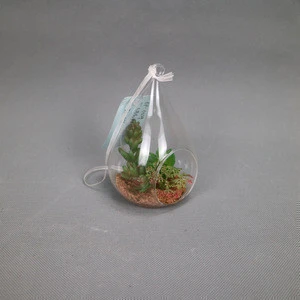 Plastic succulent plants arranged in hanging glass jar ornament arrangement