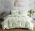 Import Polyester printing Amazon Ebay style  Twin queen king size bedding set from China