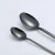 Import Portugal Royal 18/10 stainless steel black cutlery,black flatware sets from China