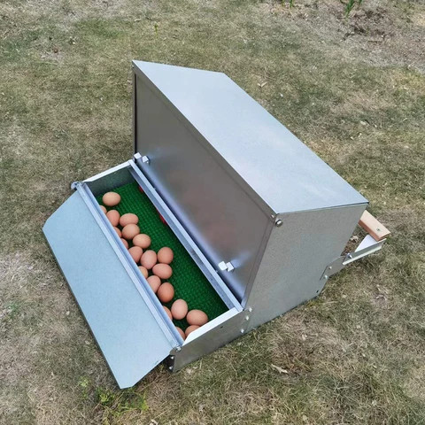 Buy Poultry Helper Automatic Chicken Nesting Box Roll Out For Hens ...