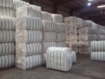 PP Staple Fiber