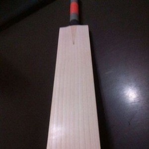 Premium Quality Cricket Bat
