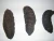 Import Premium Quality Dried Sea Cucumber from South Africa