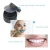 Import Professional China Supplies, Luxury Teeth Fresh Products Teeth Whitening Powder from China