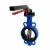 Import PTFE-Lined Wcb/Ggg40/Stainless Steel Wafer Butterfly Valve Gate Valve Made in China from China