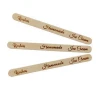Pure natural birch wooden ice cream stick ice cream tools custom logo ice cream sticks