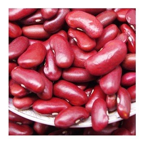 Red kidney beans / butter bean / white bean Bulk Quantity High quality cheap rate Wholesale Dealer