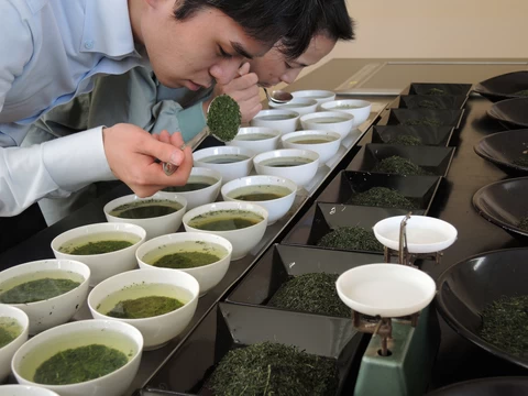 Roasted Houjicha Powder natural organic private label green tea