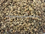 Robusta Coffee Bean