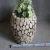 Import Rustic Wood Crafts Plants Pots Antique Wood Flower Pot Holder Garden Decoration from China