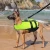 Import Safe Convenient Swimsuit For Dog Life Jacket, Dog Life Vest from China