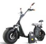 SC11 eec/coc approved Factory DOGEBOS CE 2 Wheel 1500W full suspension Electric UTV with removable battery