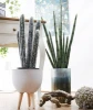 Shininglife wholesale plastic plant artificial 13 branches sansevieria in large bonsai