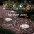 Import Solar Cell Colors Floor Ground Spike Lawn Landscape Morden Design Outdoor Cob Led Solar Garden Lamp from China