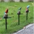 Import Solar Powered Parrot Light Bird Blue Red Yellow Resin Life-like Animal Decorative Lamps for Garden Yard Lawn Outdoor Lighting from China