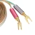 Import Speaker Cable with Gold-Plated Tips - CL2 REACH &amp; RoHS - 99.9% Oxygen Free from China