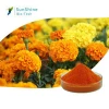 SQT 100% Natural poultry feed additive lutein/Zeaxanthin 5% , 20% , 40% /Marigold Extract