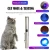 Import Stainless Steel Mini Pocket Lamp Led UV Flashlight Torch Ultra Violet Light Usb Rechargeable for Marker Checker Detection from China