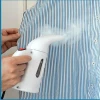 Standing Electric Steam Iron/Portable Steamer Hot Sale On USA Amazon