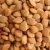 Import Sweet Apricot Kernels Market Price from Canada