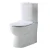 Import Toilet Brand Price Bathroom Ceramic One Flush Toilet from Singapore