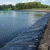 Import Top quality fish shrimp pond liner hdpe geomembrane waterproof,20 MIL leak proof dam liner,No Underlay Required UV pool liner from China