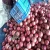 Import Top Seller of Fresh Pomegranate Fruits in India from India