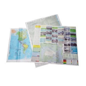 Tyvek Material Global Map Art Map