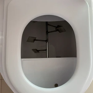 Vacuum Plastic Toilet System Portable Toilet Bio Toliet Toilet
