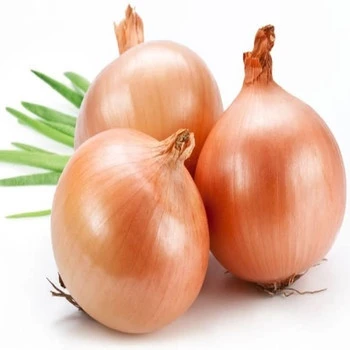 Vegetable Concentrate Onion