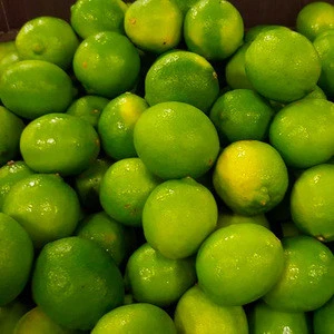 Whole Fresh Lime on 30% Discount Sale