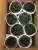 Import Wholesale 10-14cm Gymnocalycium baldianum Cristata cactus home decoration cactus for garden natural cactus plant from China