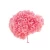 Import Wholesale Cheap Quality  Single  Hydrangea preserved  Flower  for house decoration from China