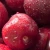 Import Wholesale cherry fresh with great quality from China